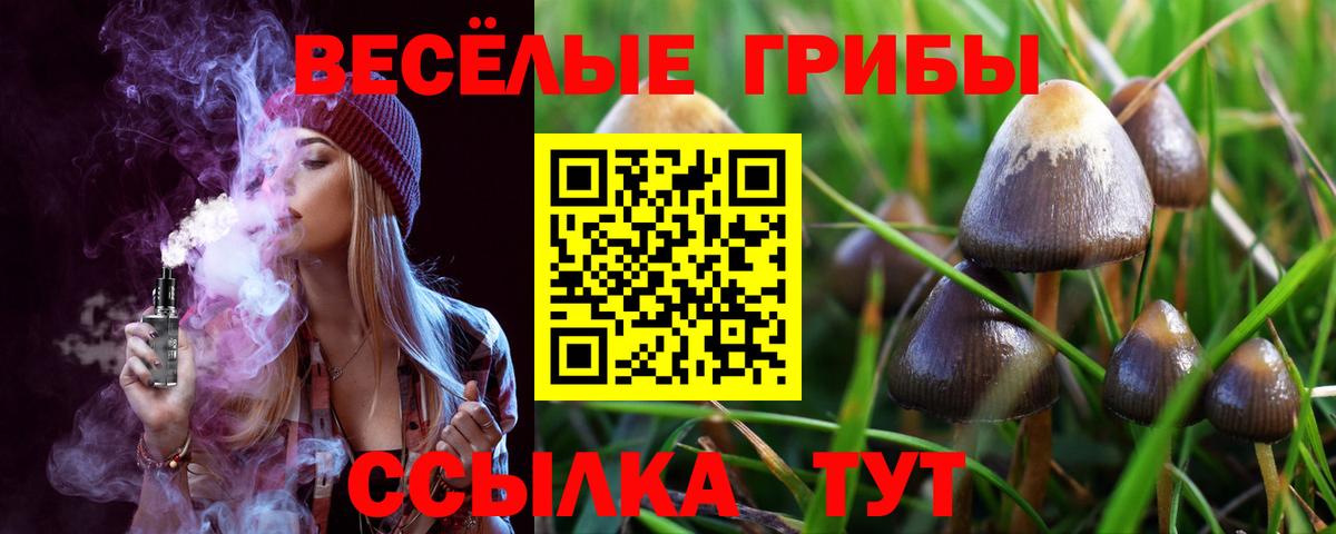 Галлюциногенные грибы MAGIC MUSHROOMS Грозный