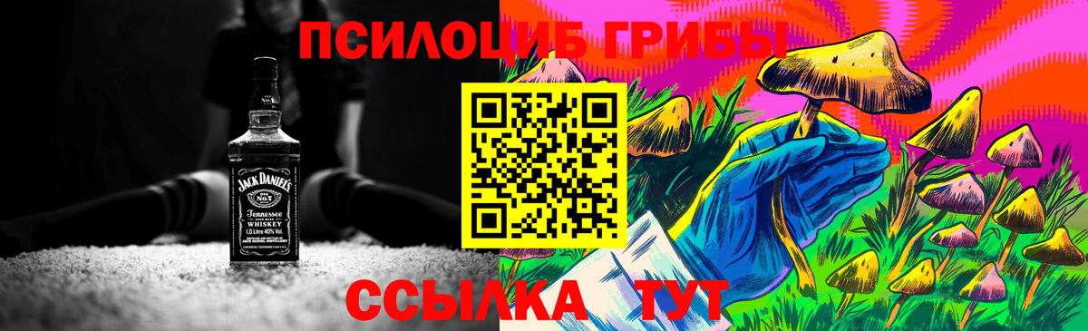 Псилоцибиновые грибы мухоморы  Вход с VPN  Грозный  Галлюциногенные грибы мухоморы 